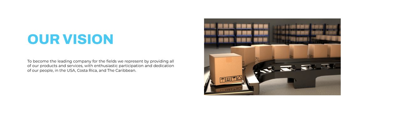 Axis Commercial Solutions website — our vision